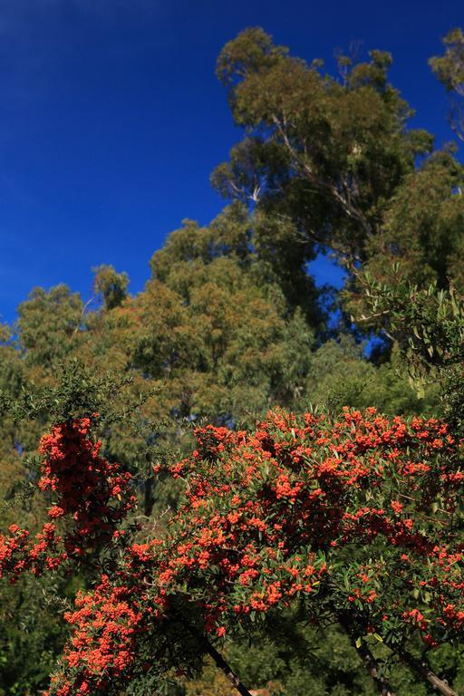 Cortijo La Hoya Guest House El Bujeo Exterior photo